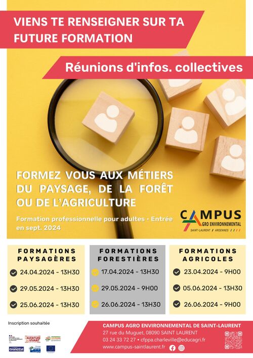 Cliquez pour agrandir l'image