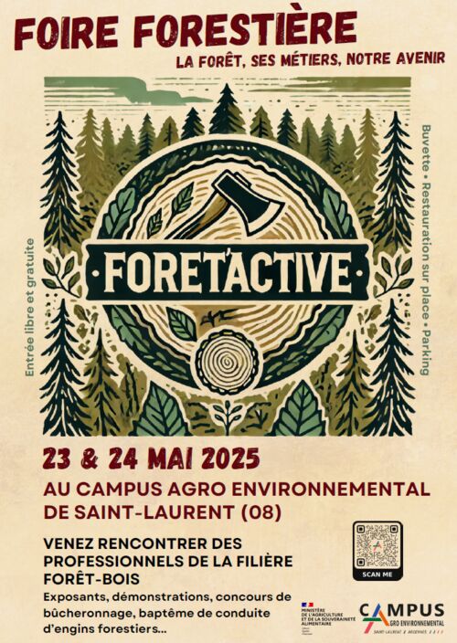 Cliquez pour agrandir l'image